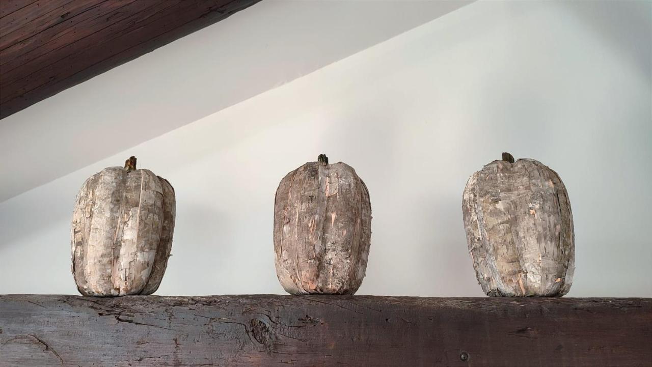 Uzes, Au Coeur Du Centre Medieval La Boussole D'Uzes, Appartement De Caractere Du XVII -Eme Siecle エクステリア 写真
